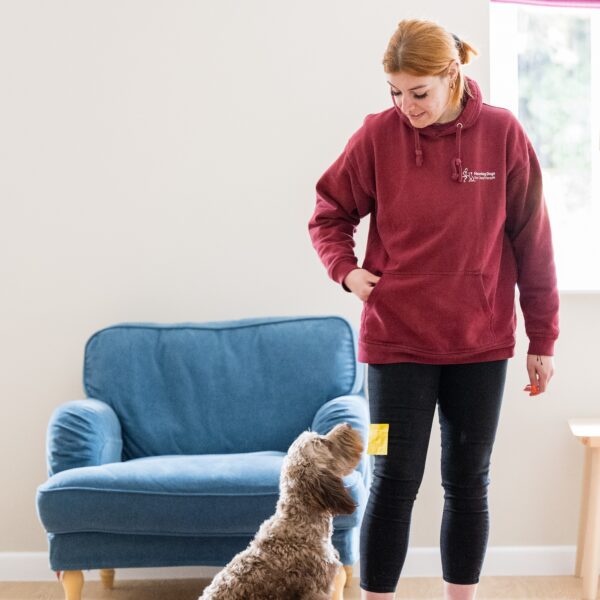 Hearing Dogs for Deaf People