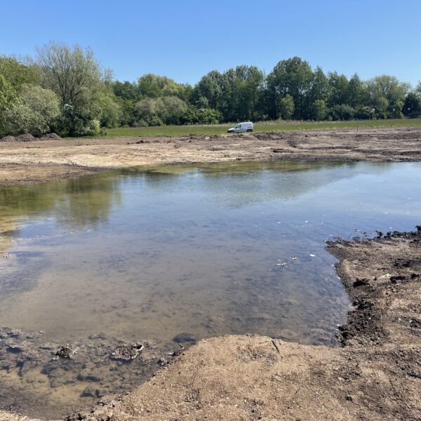 JSR Farms Chalk Stream Sanctuary Wetland Pond Scrape 