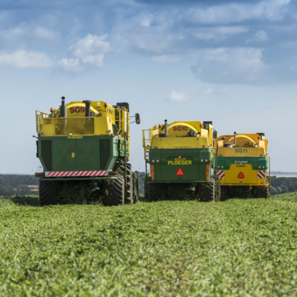 Swaythorpe Growers Pea Harvest