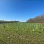 JSR Tree Planting
