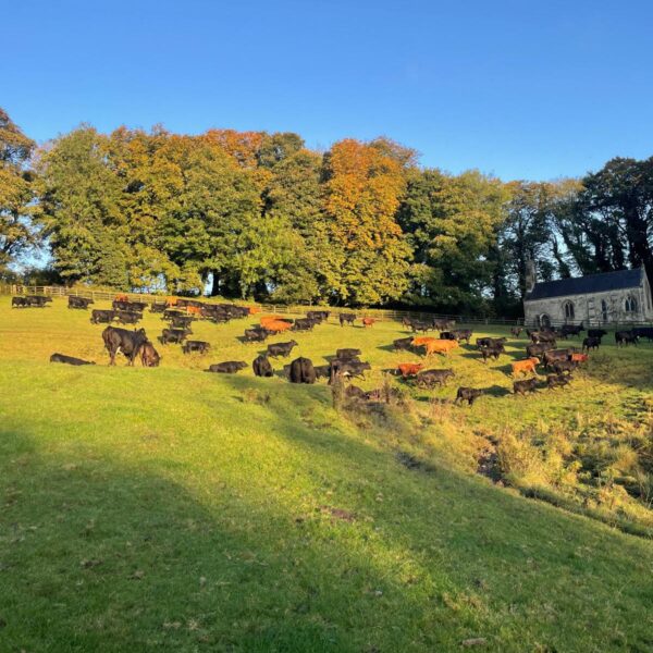 Givendale